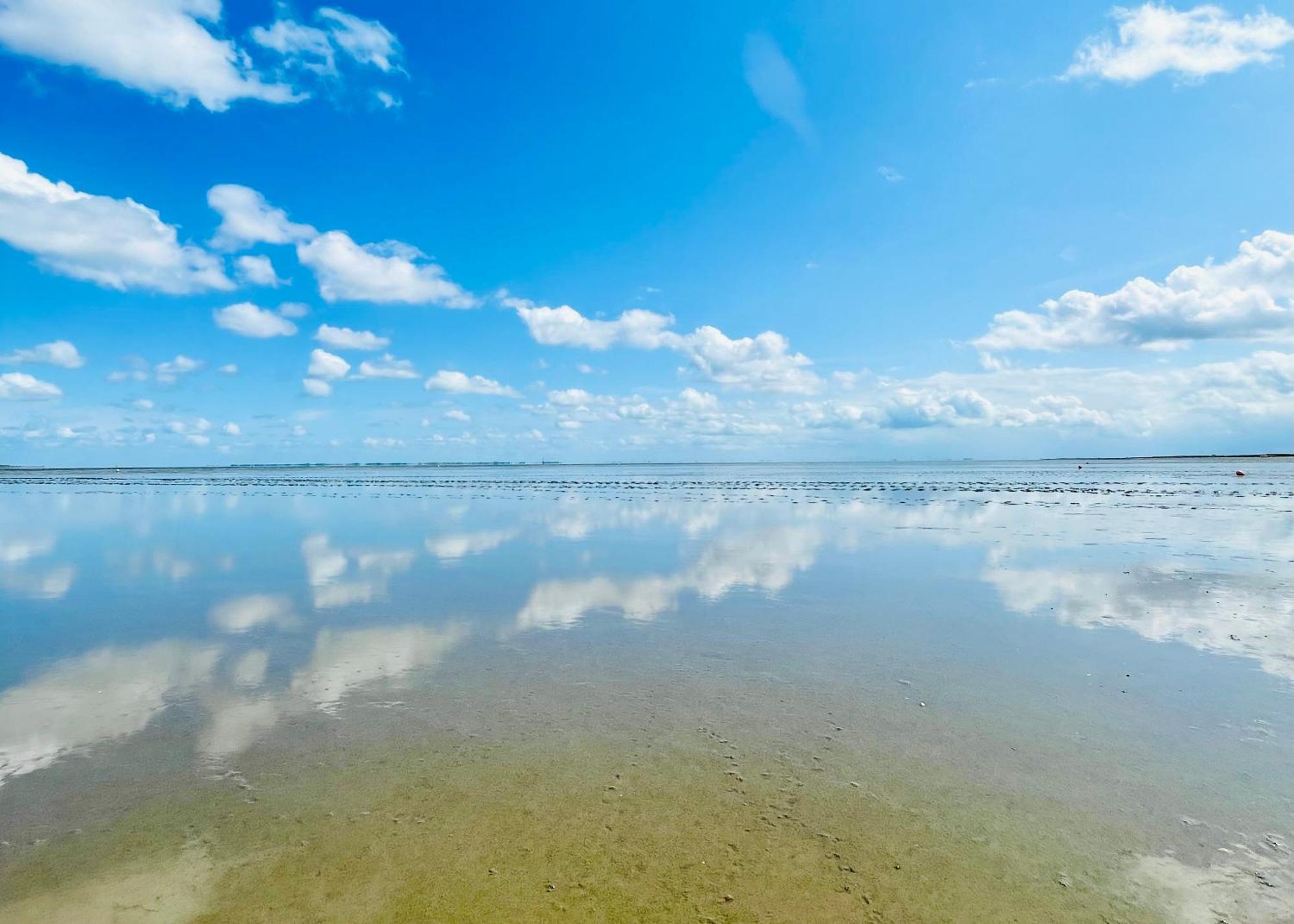 Fewo Frieda'S Platz Am Meer Dangast Kültér fotó